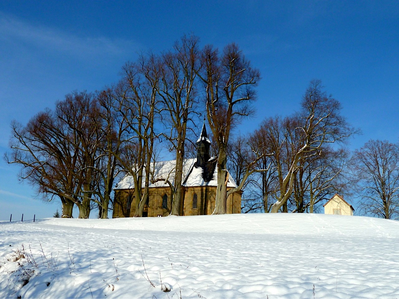 Naturfotografie Veitsberg im Winter